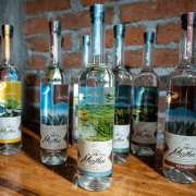 Mezcal Meztlán Maguey espadín